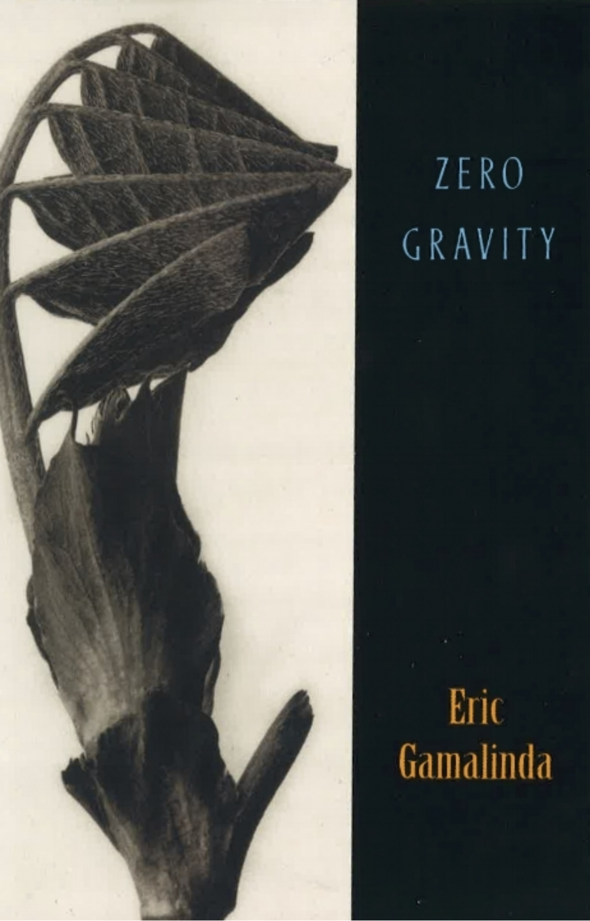 Zero Gravity