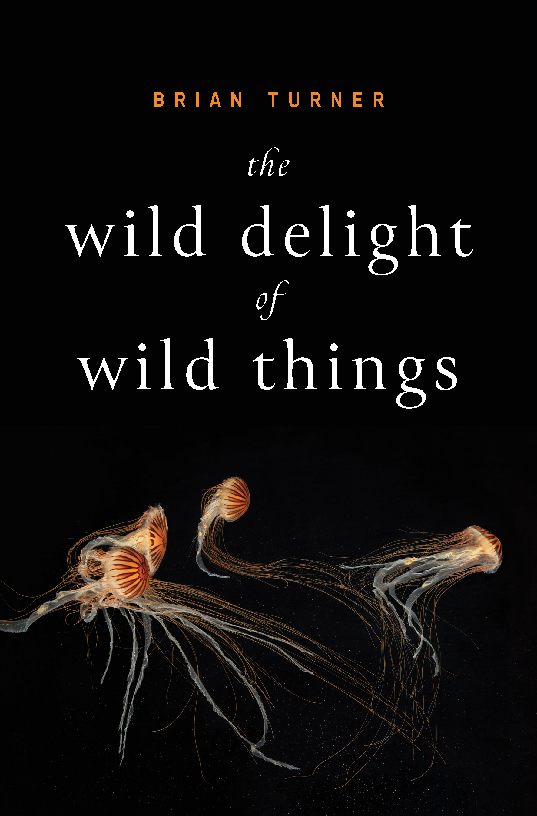 The Wild Delight of Wild Things (eBook)