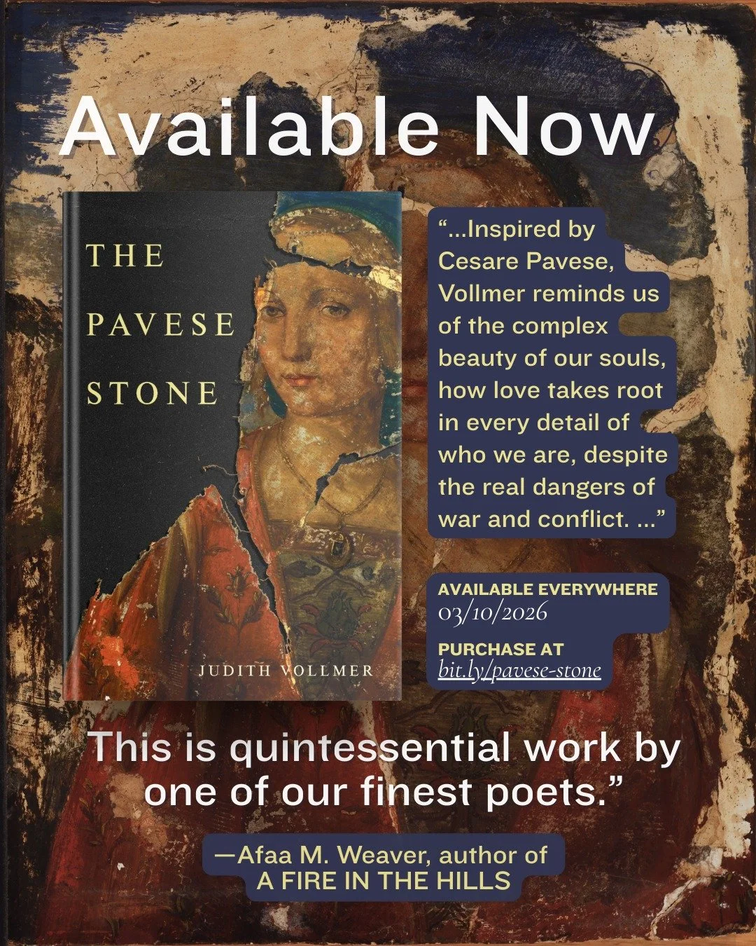 Out today! 🎉 We&rsquo;re thrilled to bring you Judith Vollmer's newest collection, THE PAVESE STONE. Join us this Thursday for the book launch hosted by @carnegielibrary at 7 PM ET 💛 Registration link in bio!

This is a book of deep listening and k