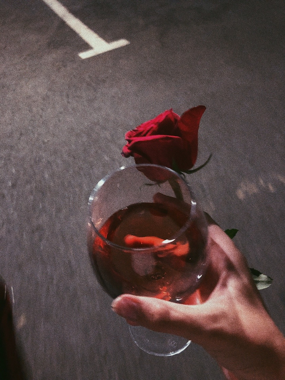 The Flowers and Wine Combo Is More Than an Aesthetic — 2PEONIES