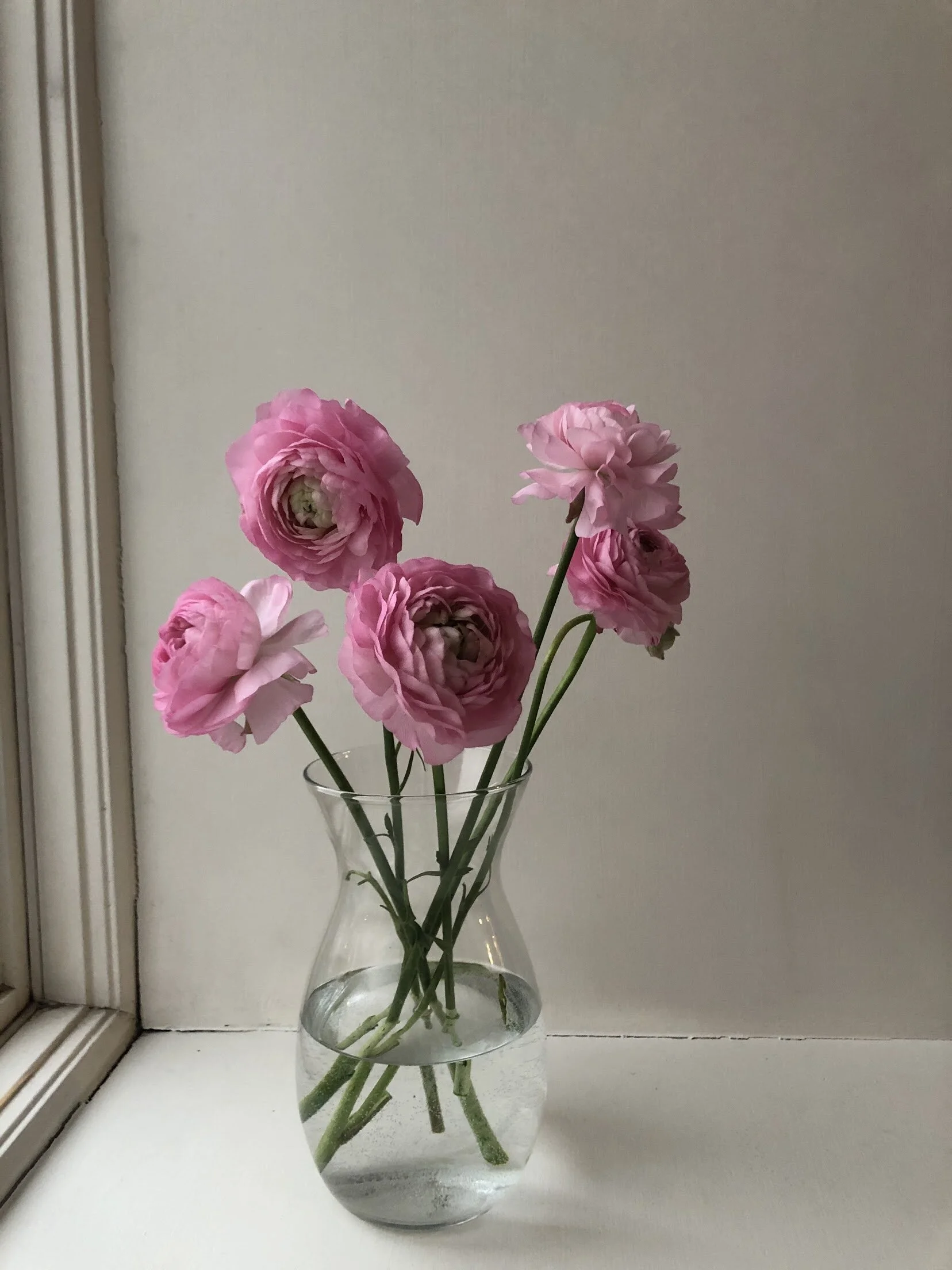 7854CA83-B7FB-4CFB-9ECF-CD967A1BEFD1