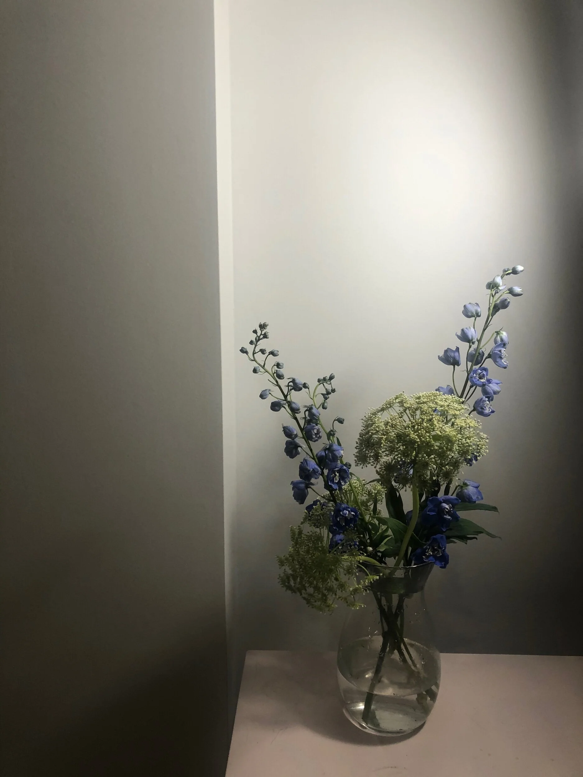 2C4893B5-7C3E-4D2D-A79A-74AF05D1284D