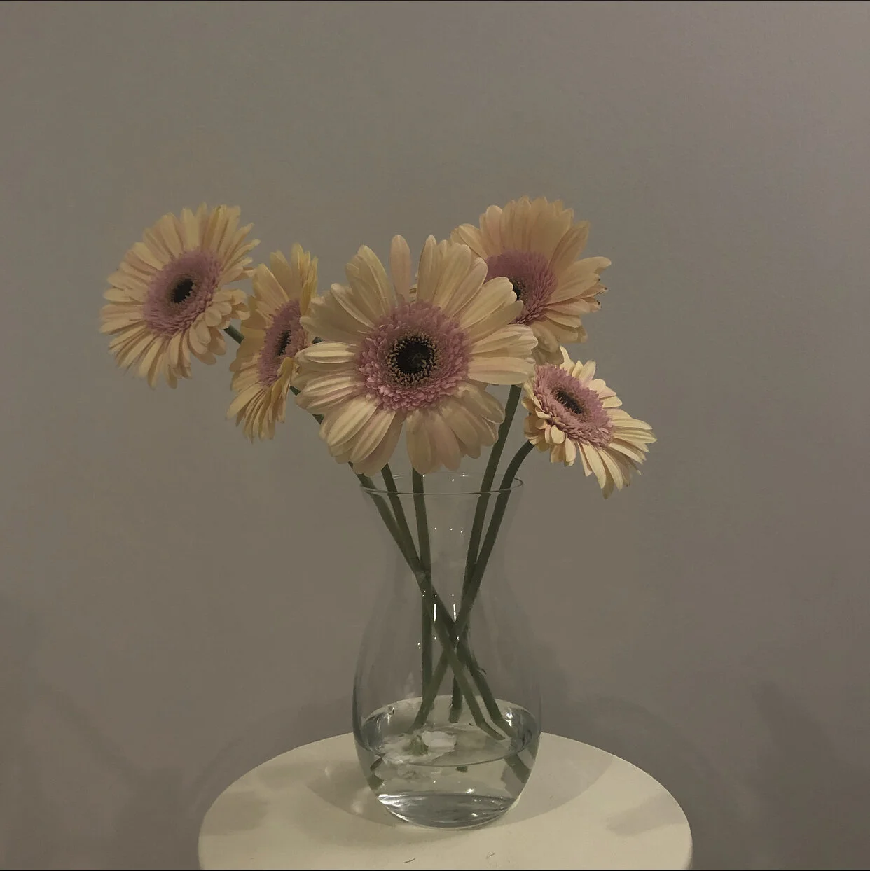 6E8C0376-DC87-4ABF-9989-52D112373C46