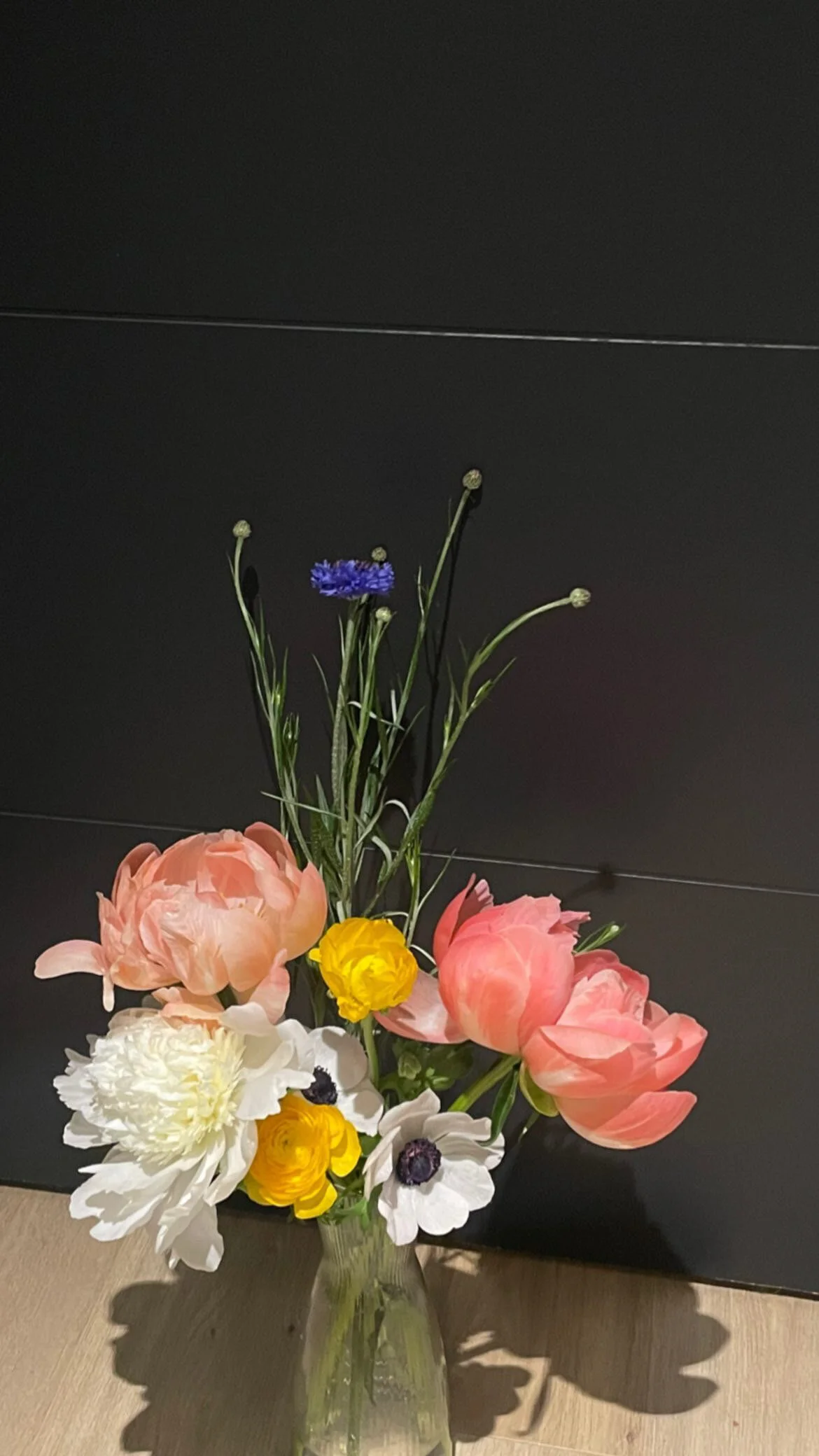 696CD43C-6BC4-4537-B2E7-9F59F072C0CD