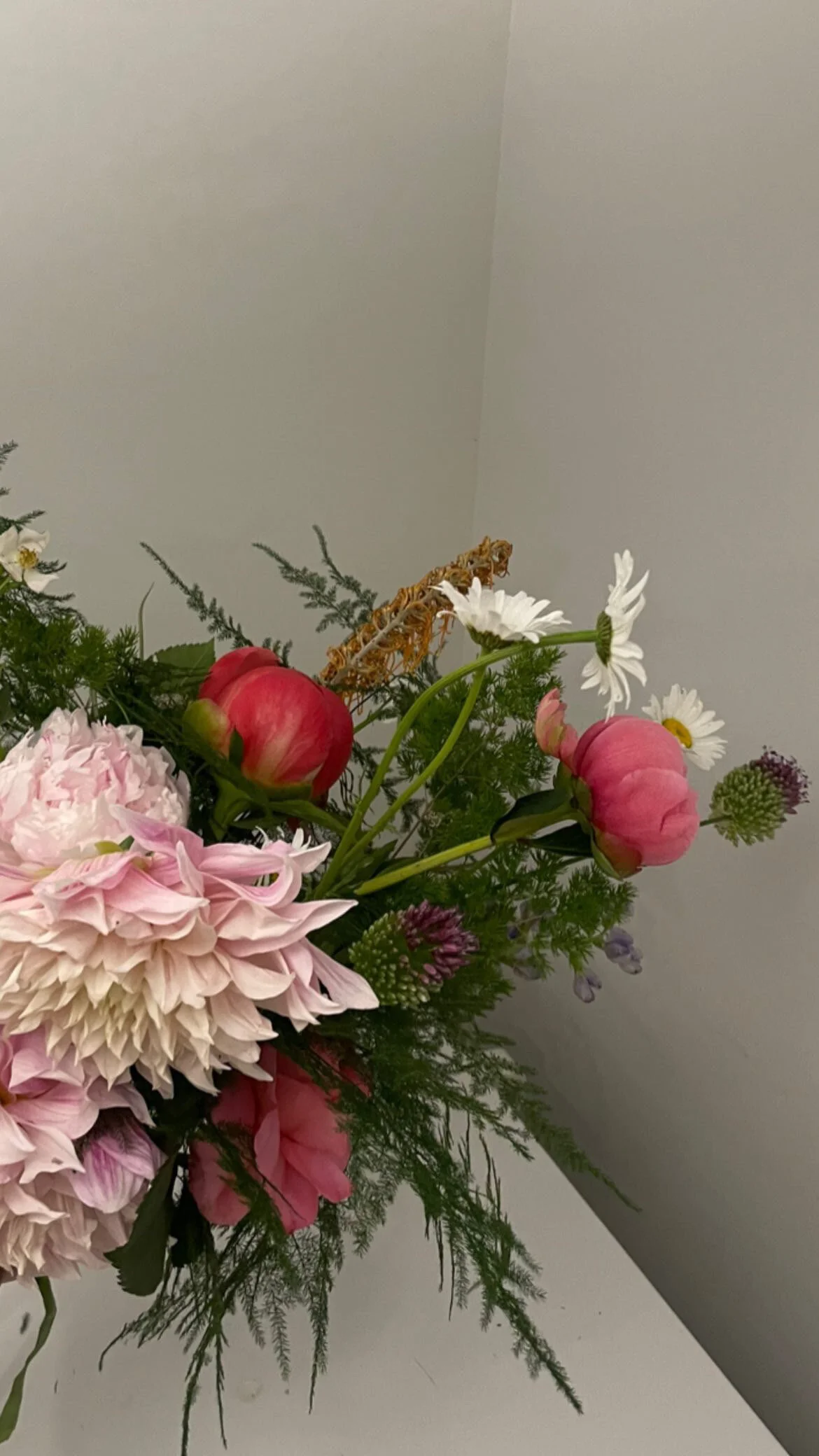 E59C2093-27A5-4974-9EC1-AA6E5320D06F