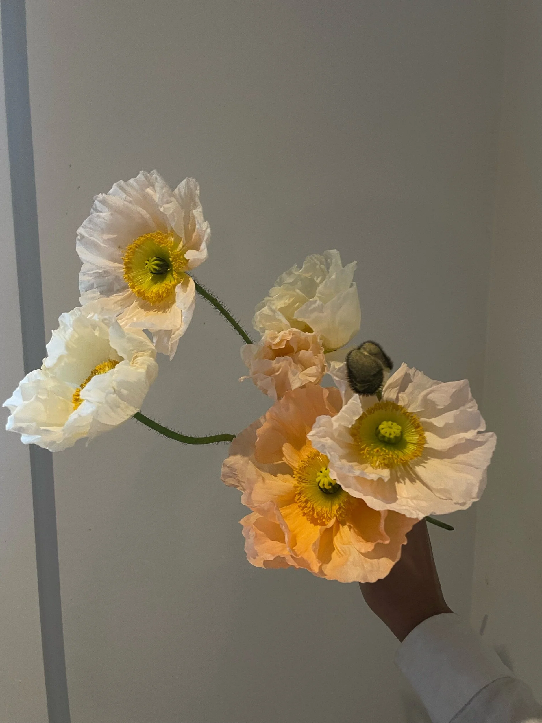 2EE7C5B6-C62B-46C5-9F85-DB0FE7EE56A0