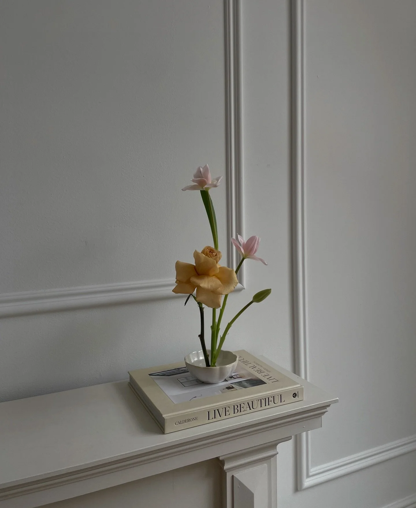 Strawberry Buttercup palette testing at @marlowestudioinc 
VDAY ORDERS CLOSE FEB 10 AT MIDNIGHT