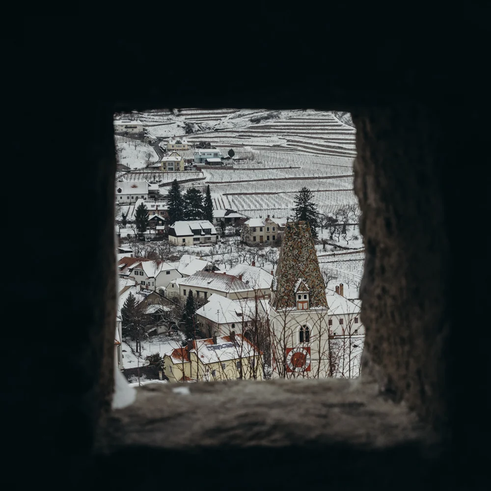 _W8A8593.jpg