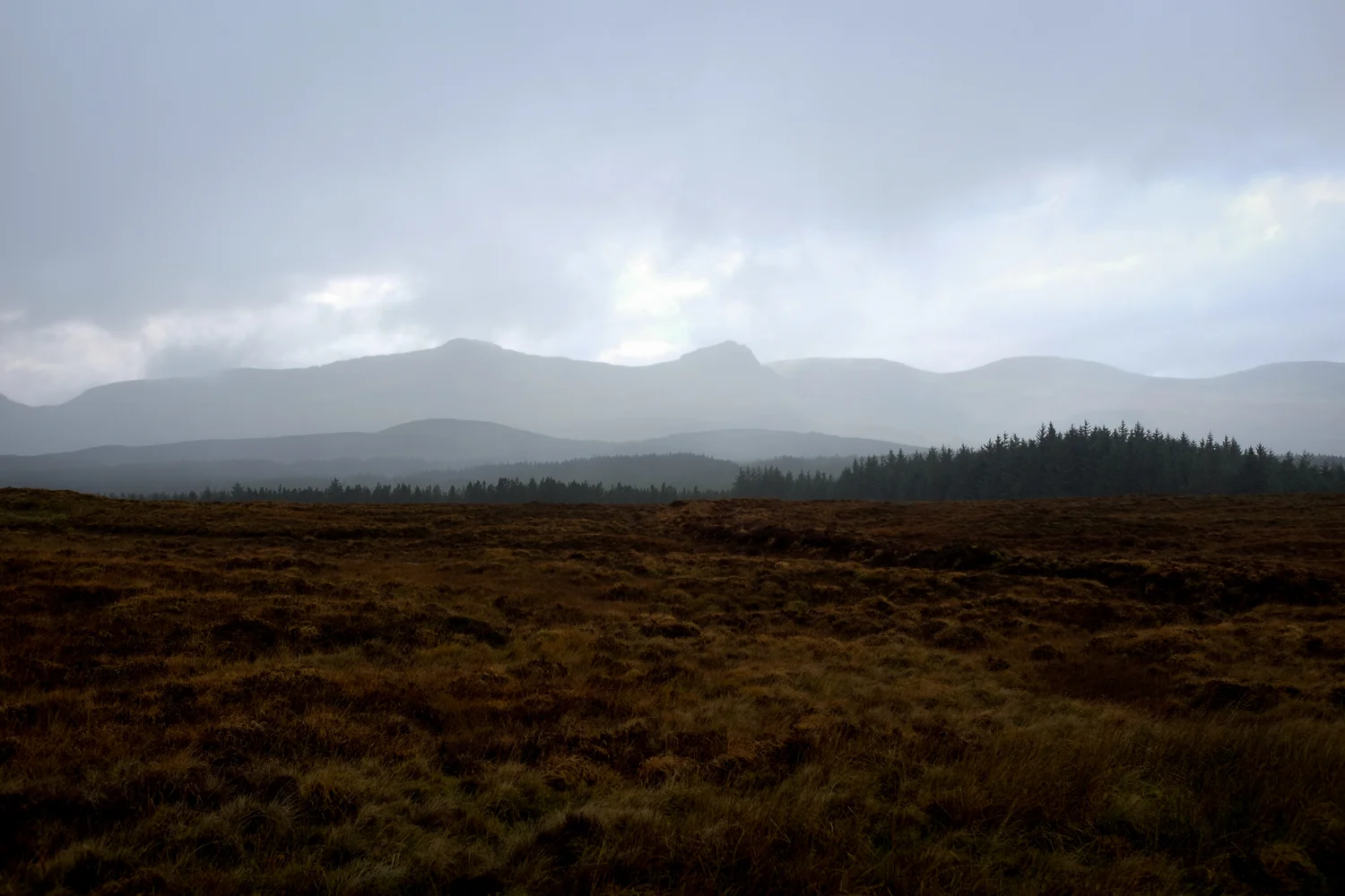 Scotland-185.jpg