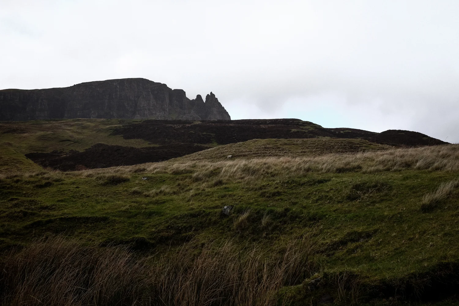 Scotland-200.jpg