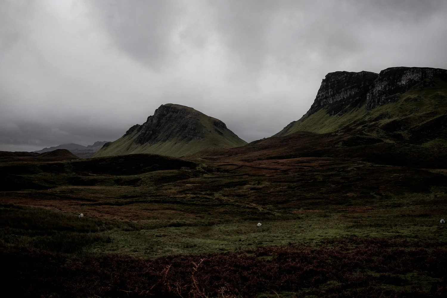 Scotland-202.jpg