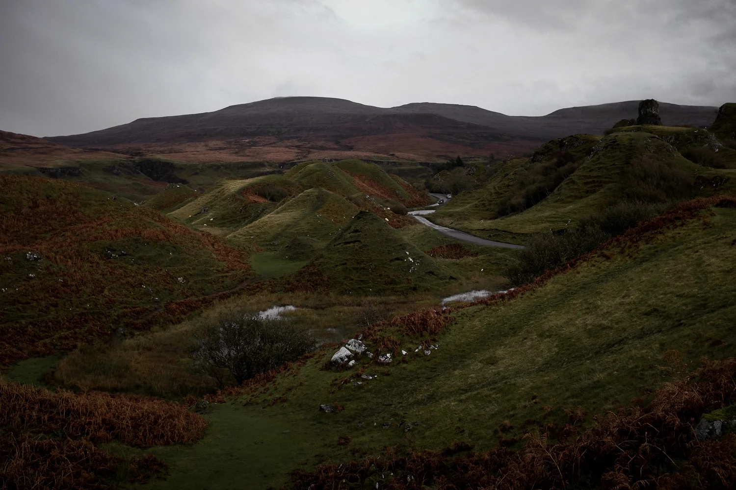 Scotland-214.jpg