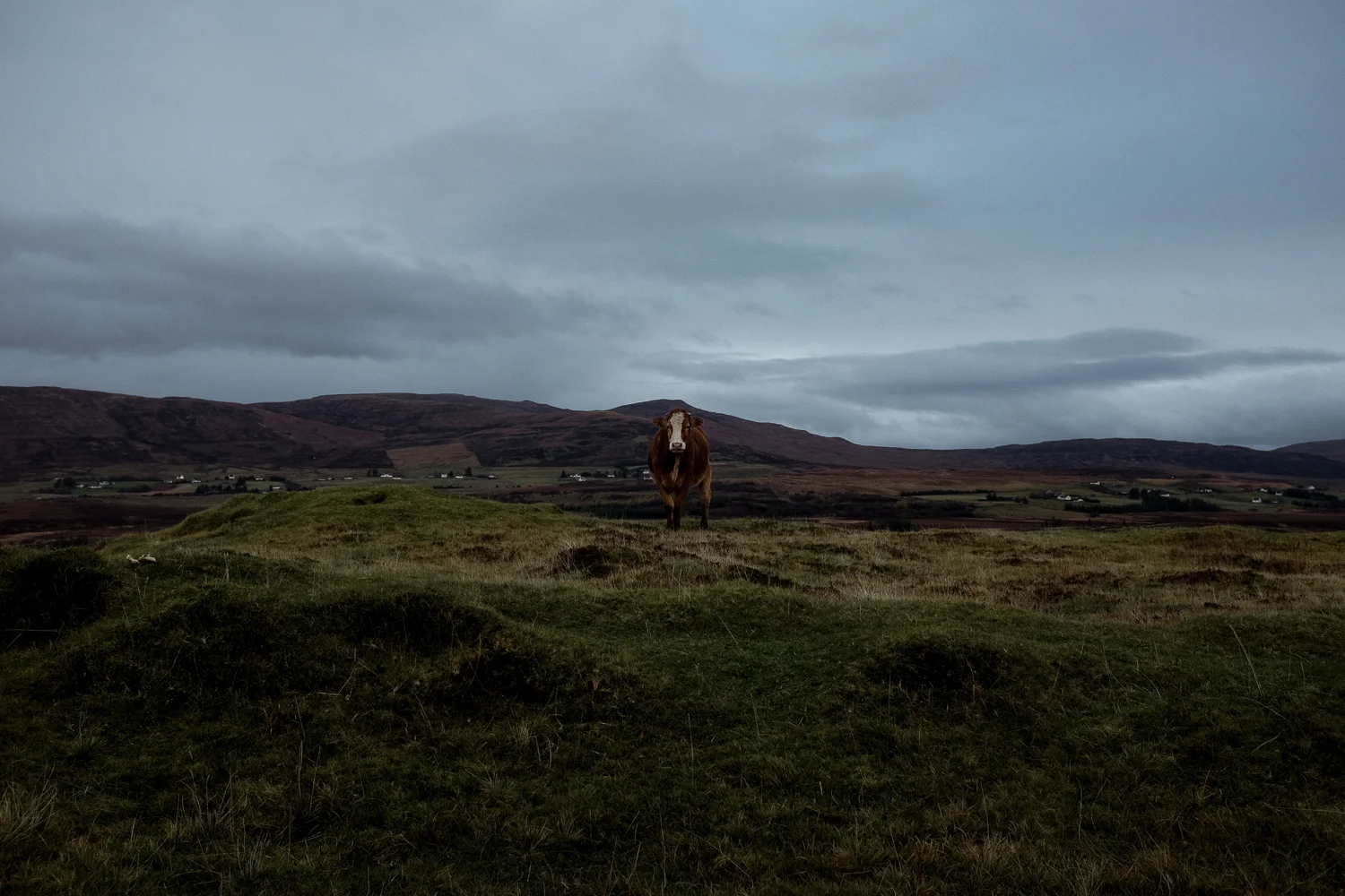 Scotland-218.jpg