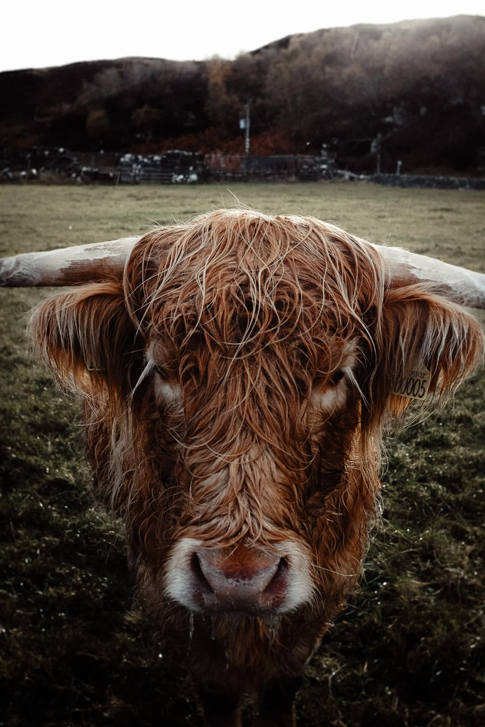 Scotland-249.jpg