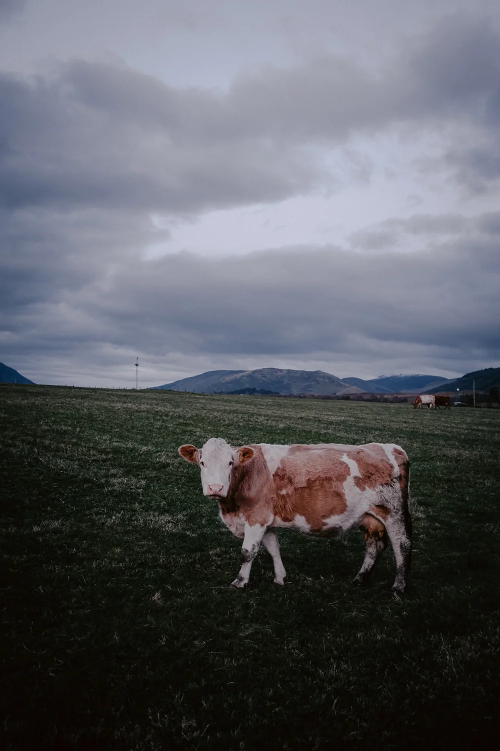 Scotland-164.jpg