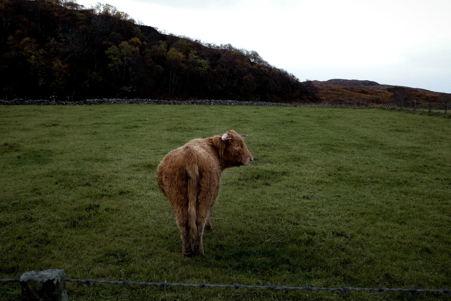 Scotland-238.jpg