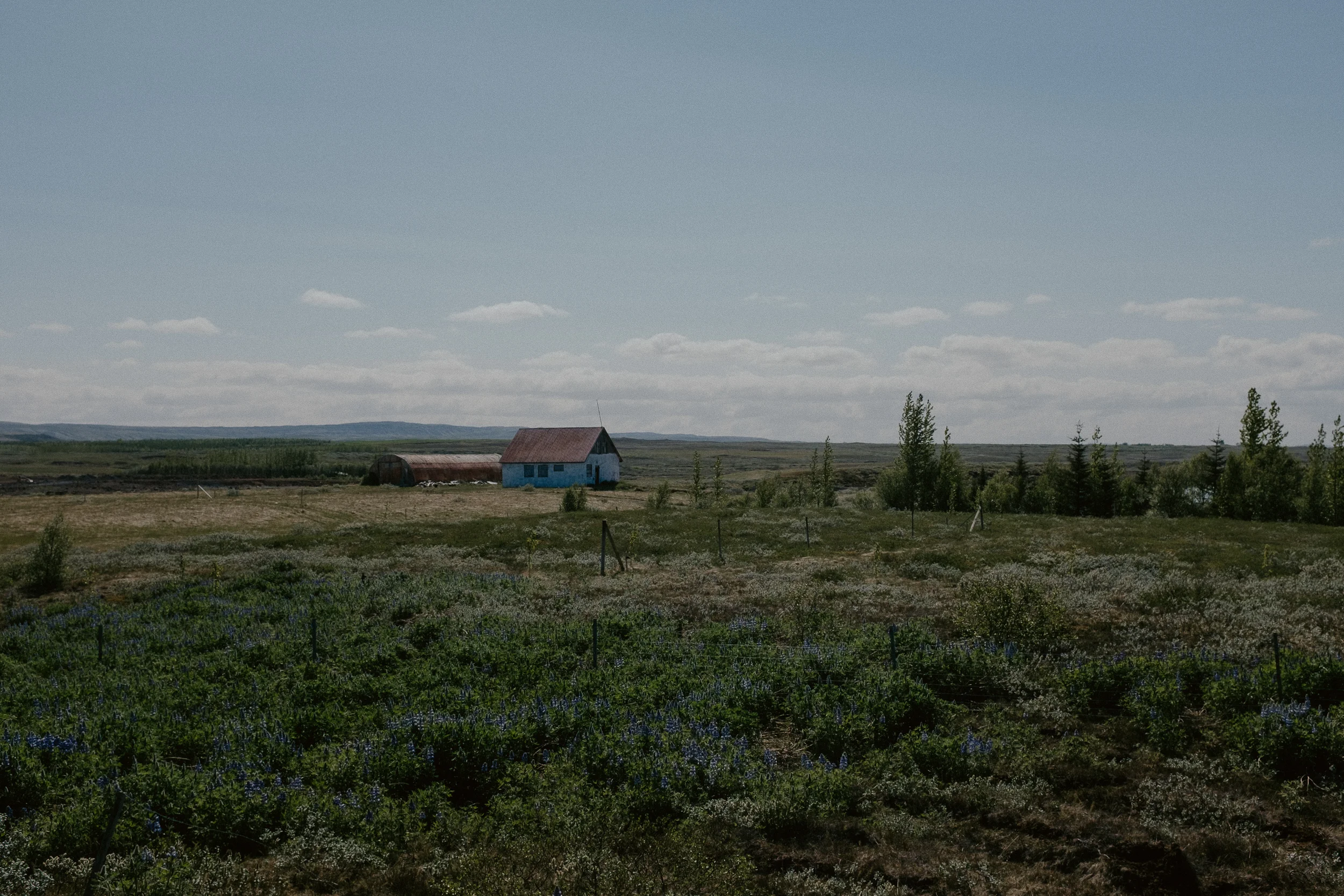 Iceland-91.jpg