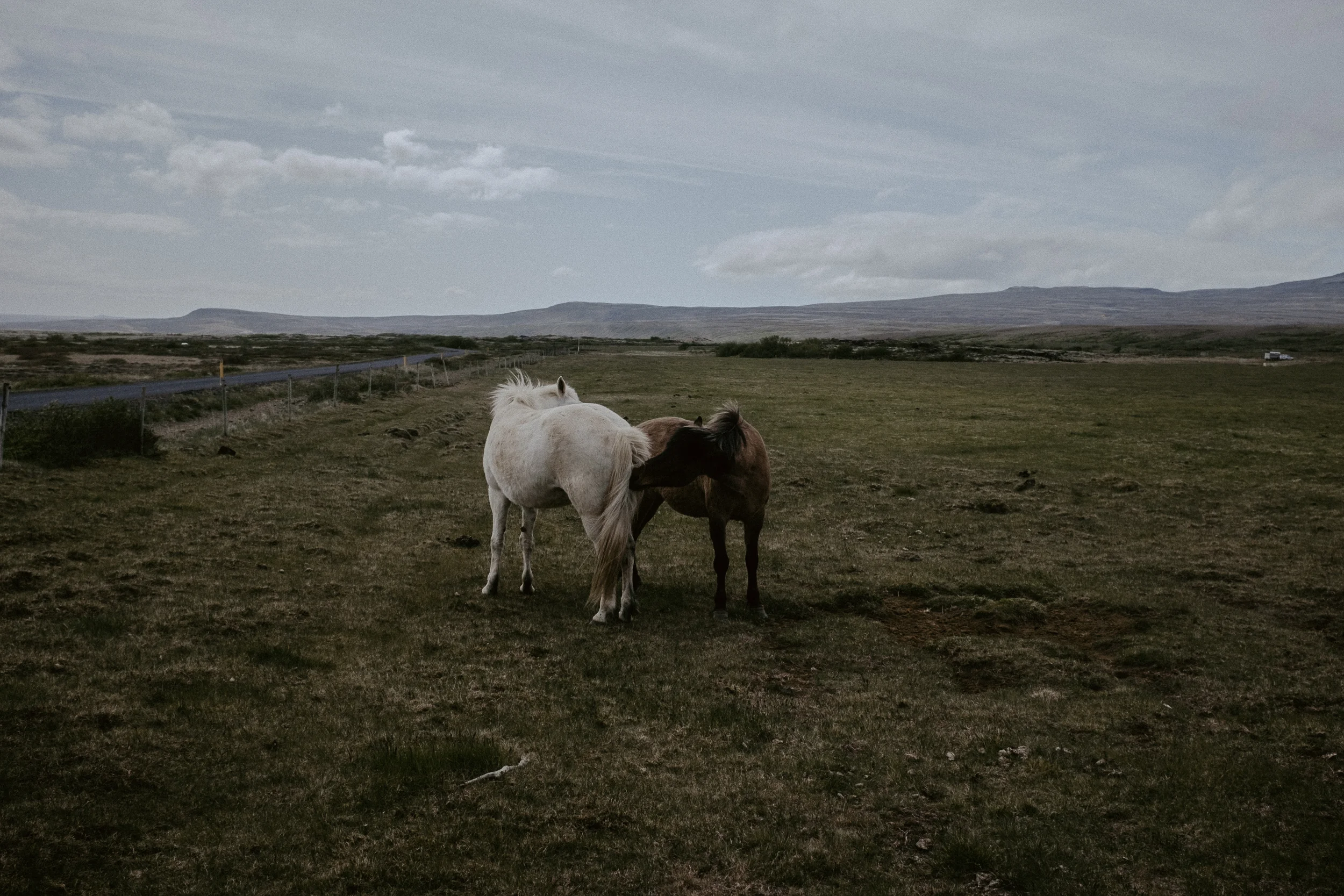 Iceland-399.jpg