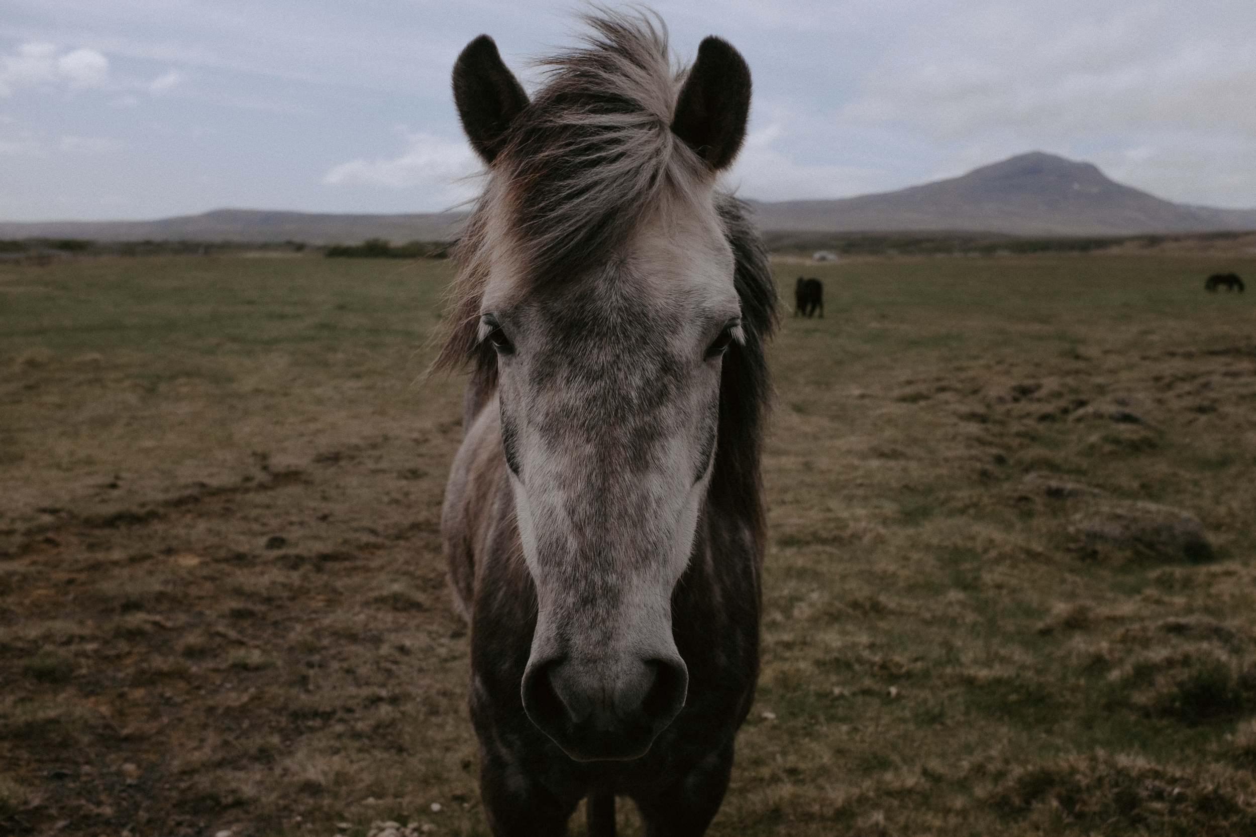 Iceland-406.jpg