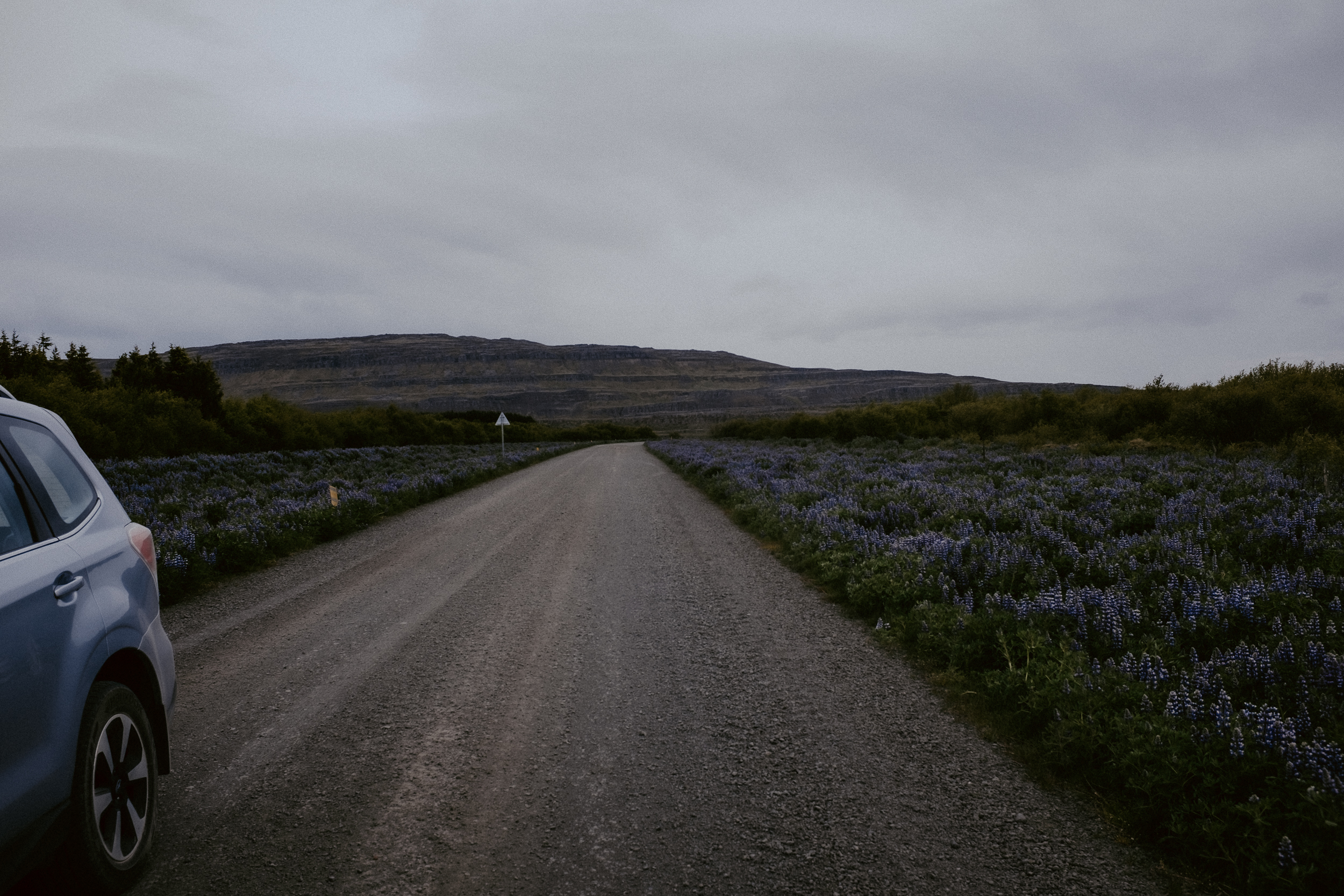 Iceland-416.jpg