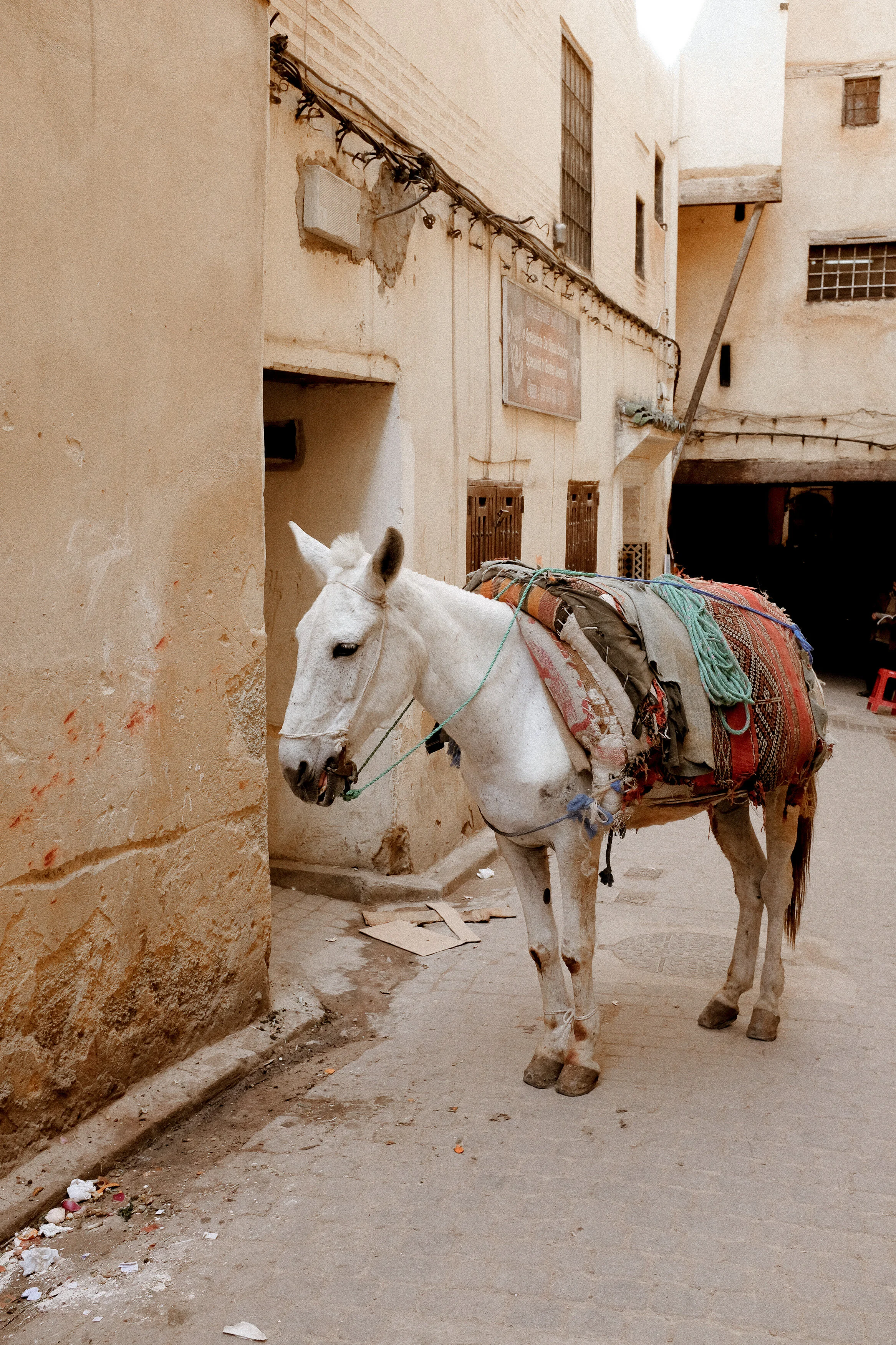 Morocco Portfolio-20.jpg