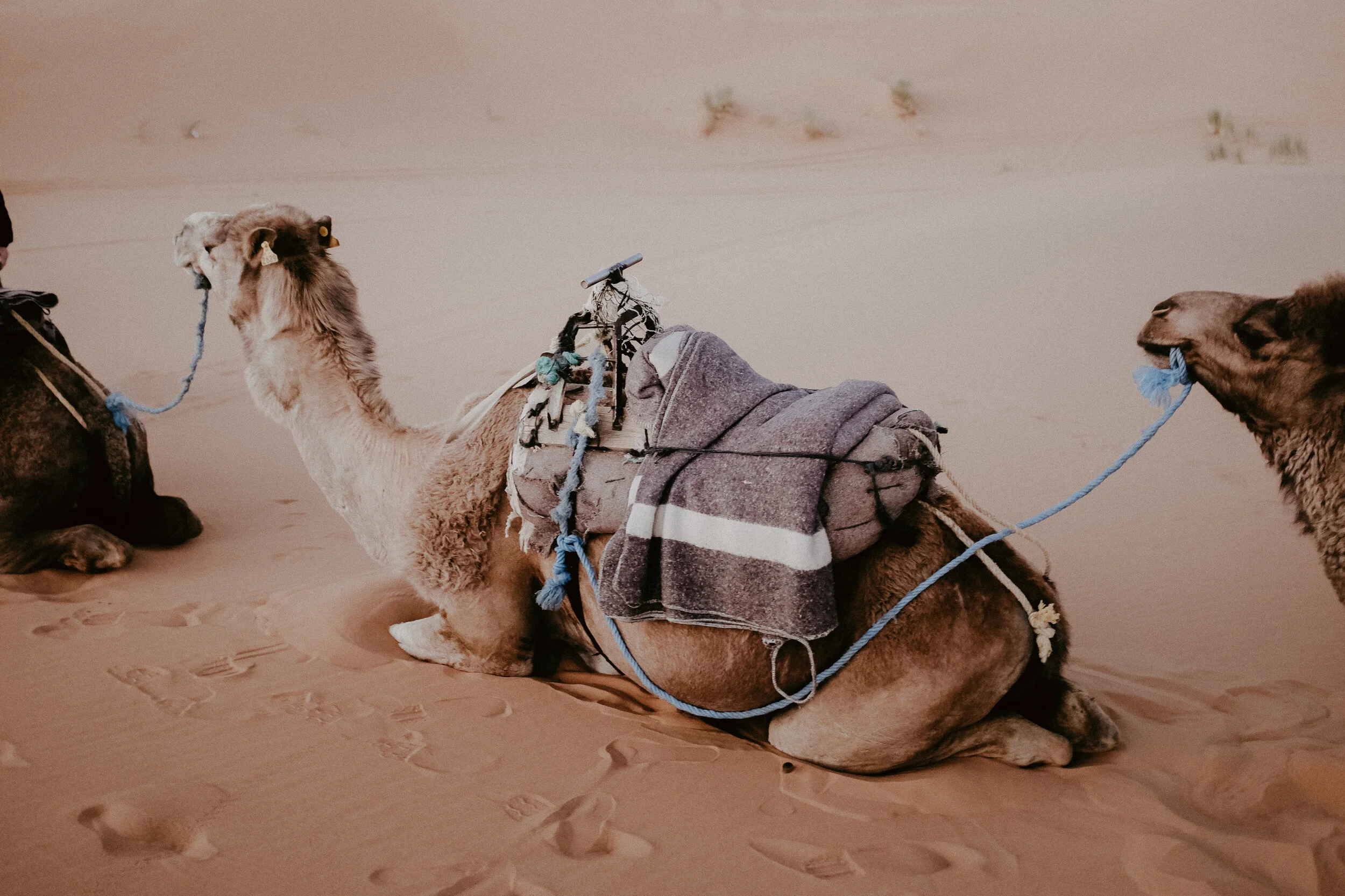 Morocco Portfolio-46.jpg
