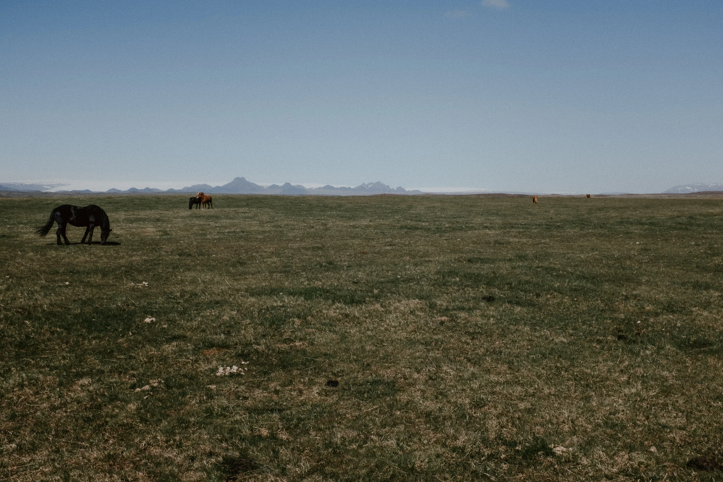 Iceland-112.jpg
