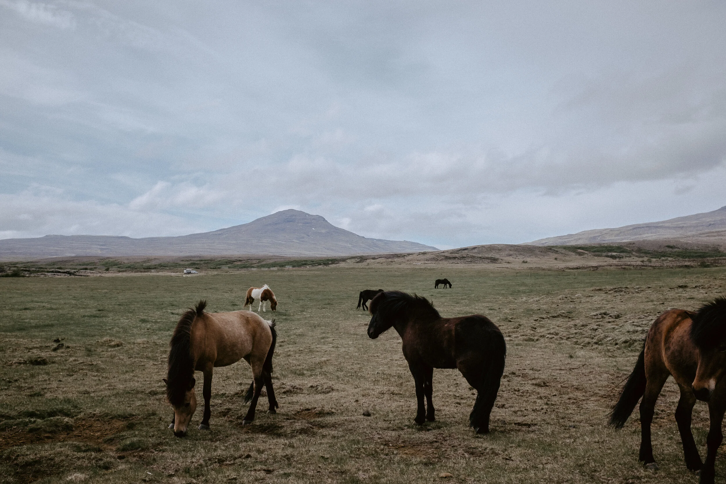 Iceland-404.jpg