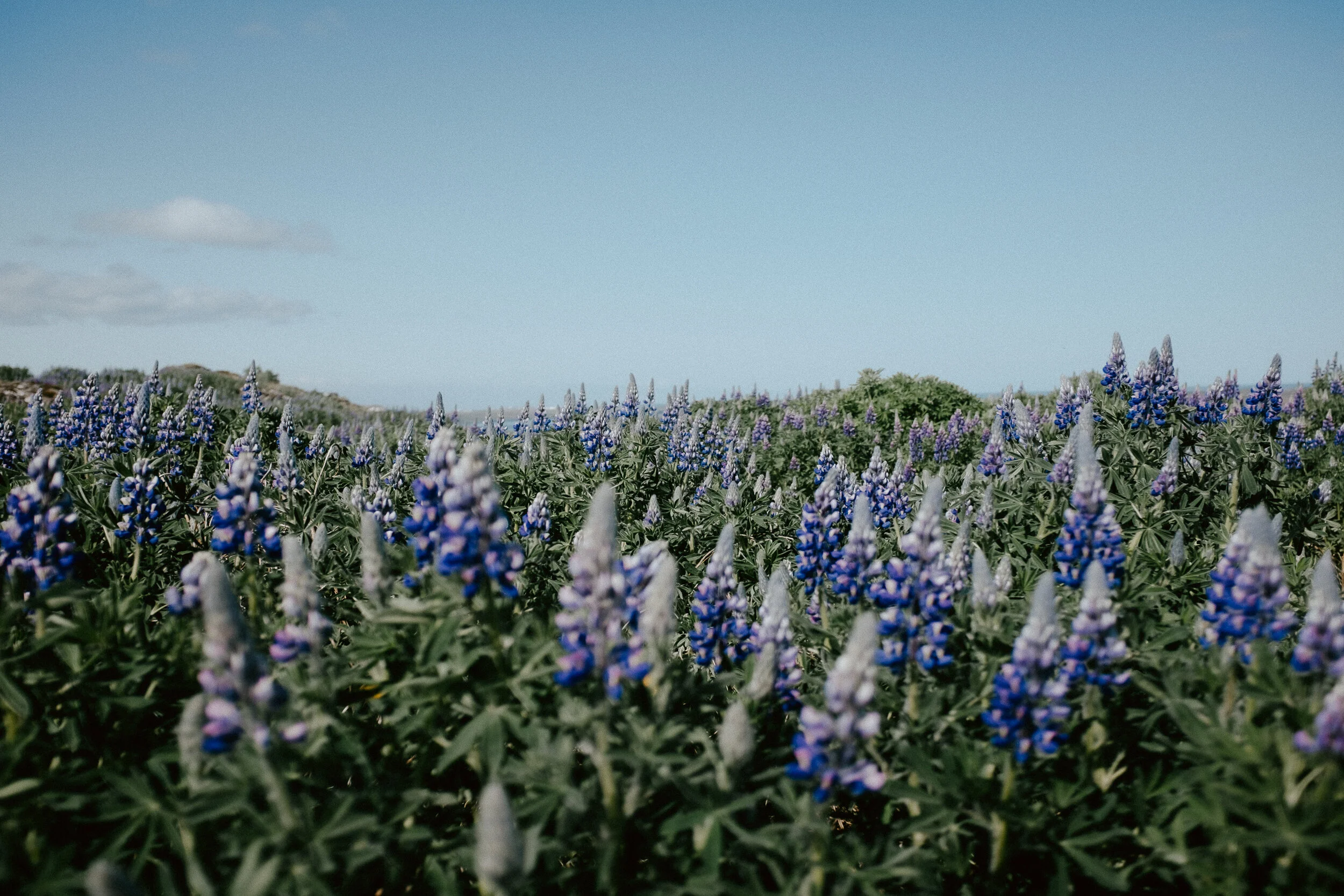 Iceland: Photo Journal and Guide to Exploring Iceland in the Spring | Travel Photographer