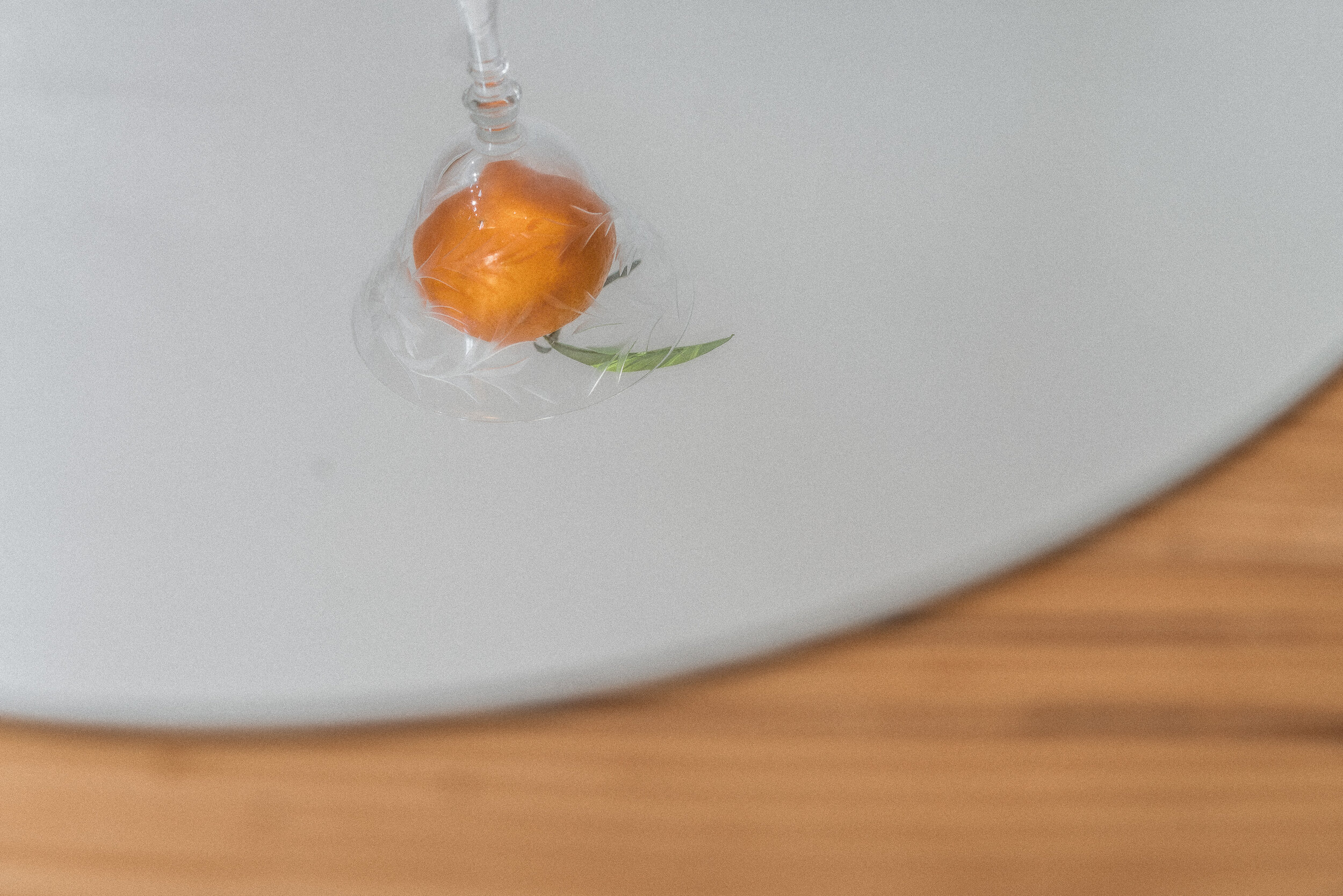 Clementine Series-21.jpg