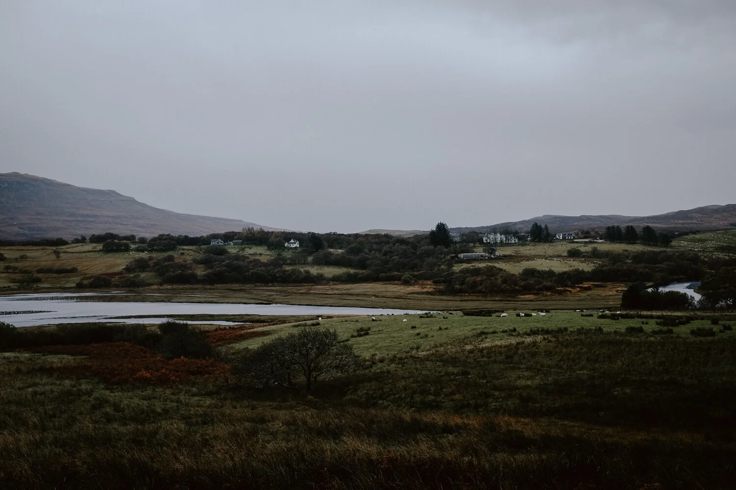Scotland-168.jpg