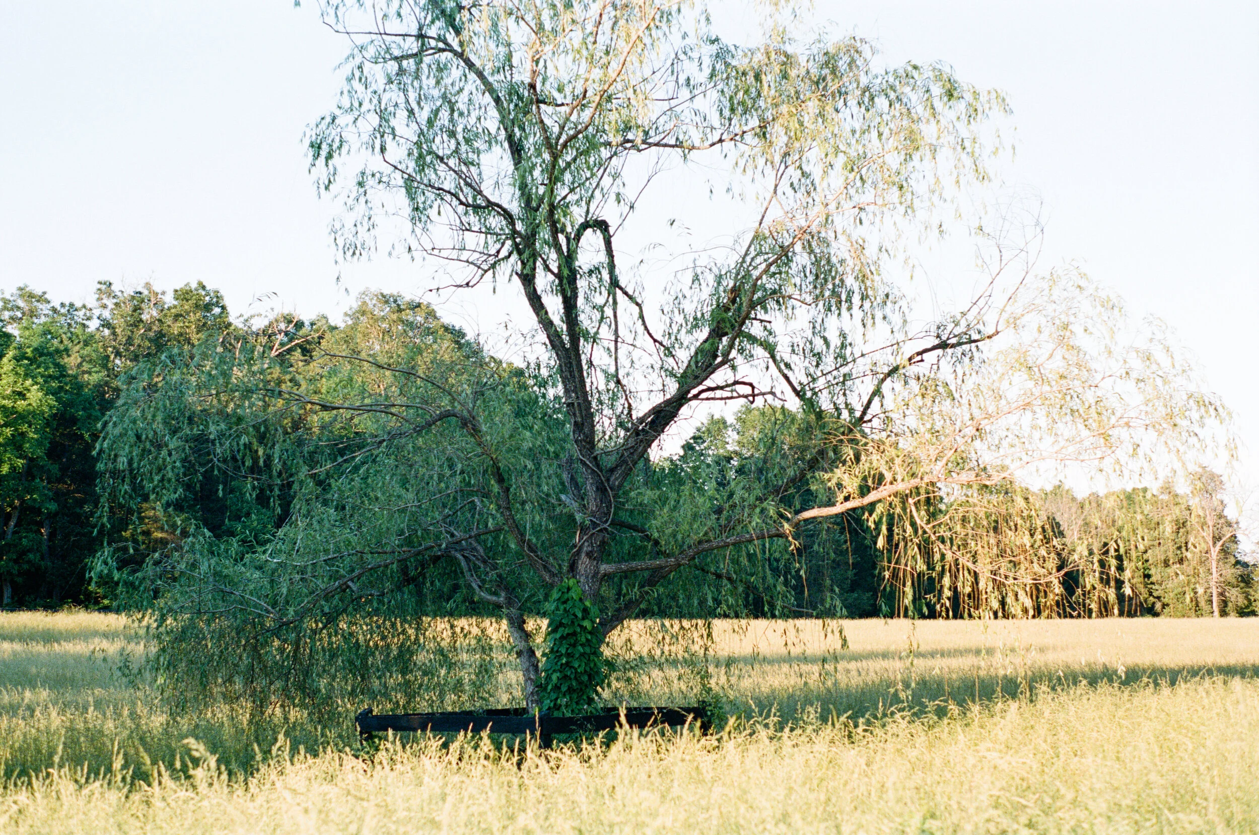Wedding Anniversary 2021 On Film