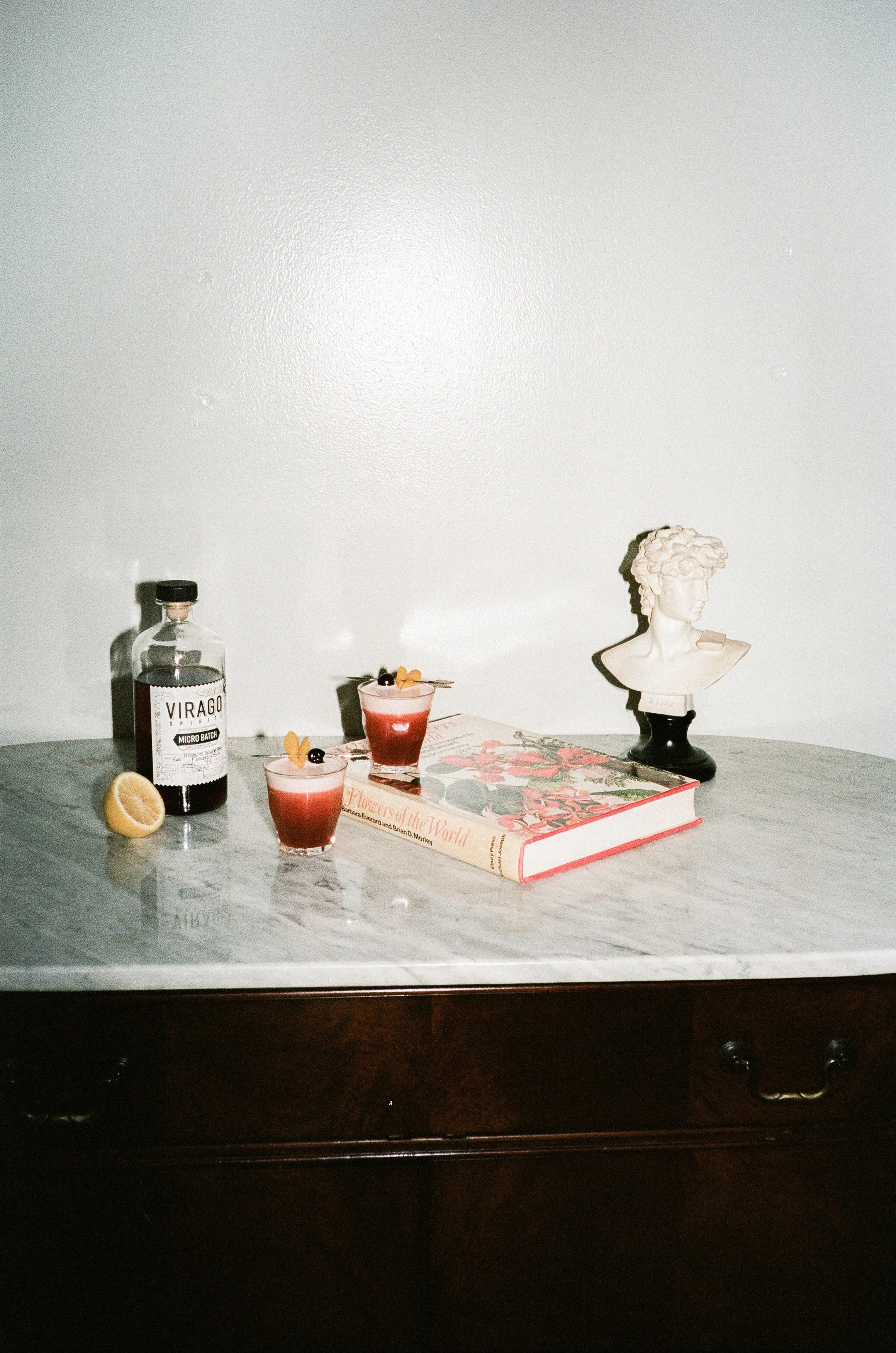 Cocktail Study December 2021-24.jpg