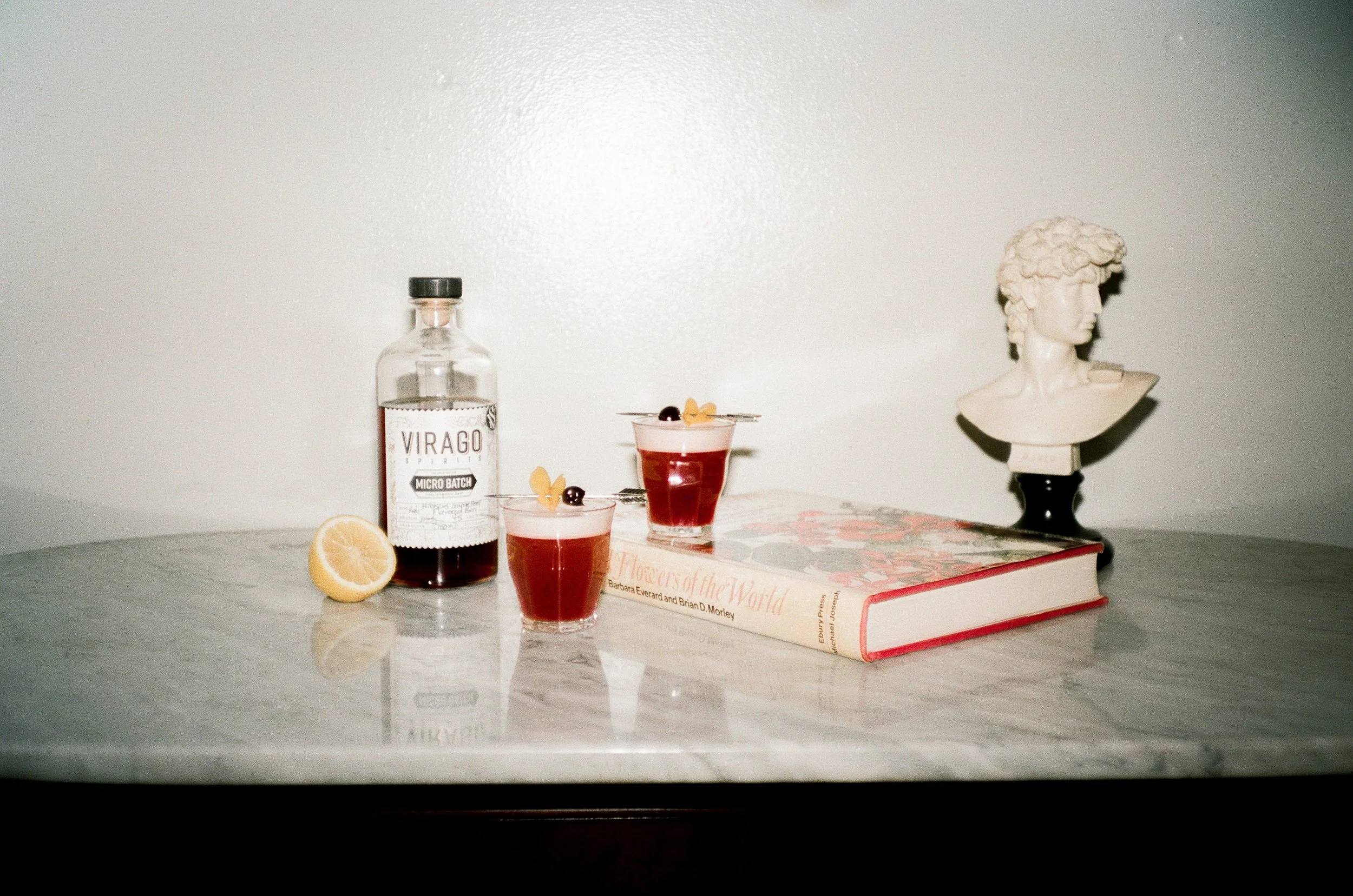 Cocktail Study December 2021-26.jpg