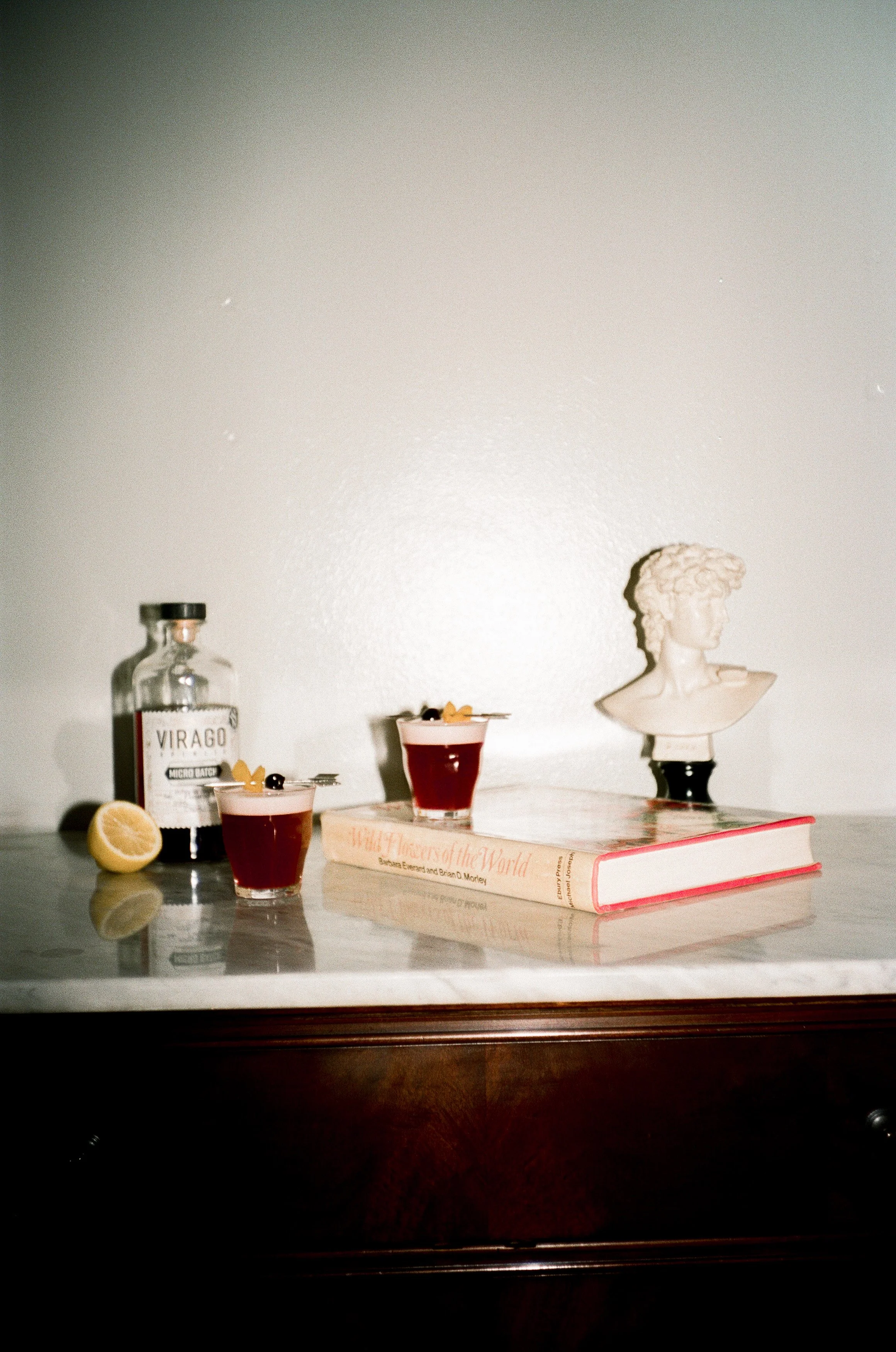 Cocktail Study December 2021-33.jpg