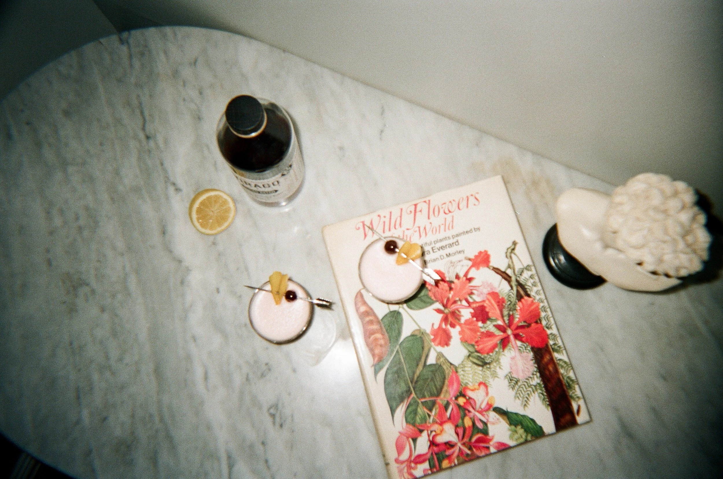 Cocktail Study December 2021-42.jpg
