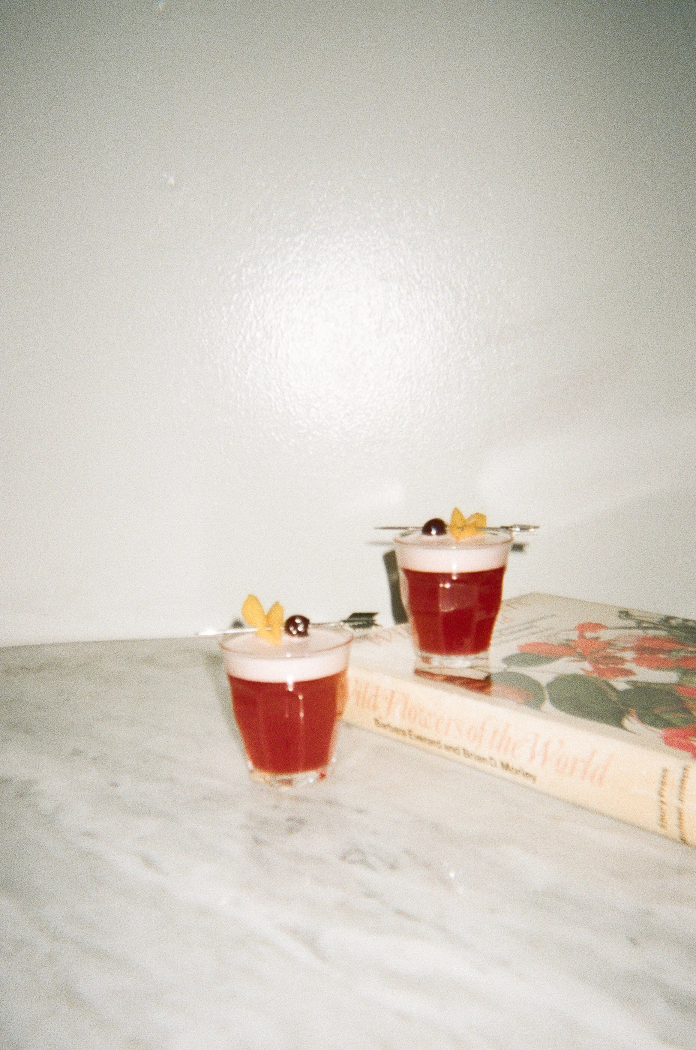 Cocktail Study December 2021-44.jpg