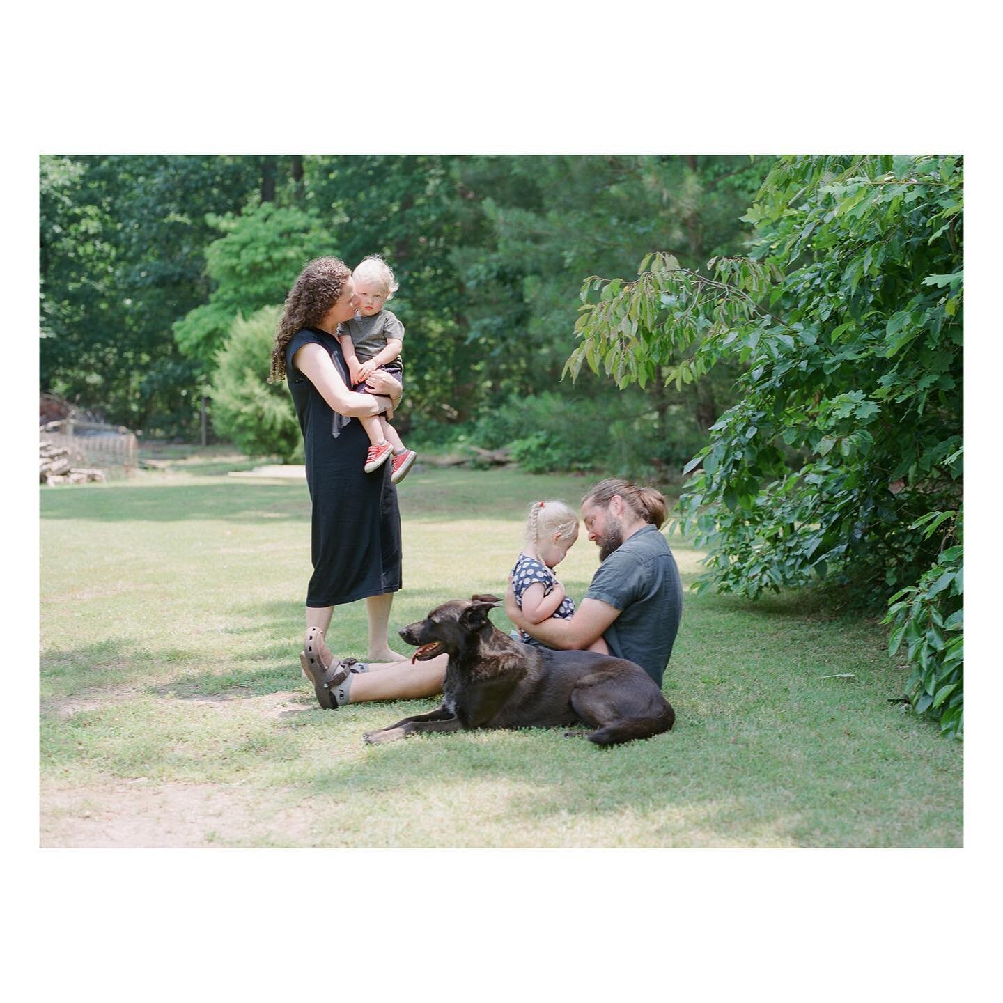 This backyard family session from June has my heart 🤍 We looked at leaves, ran in the grass, caught snakes, and pet the family dog&hellip; little things that are now preserved forever to look back on fondly.