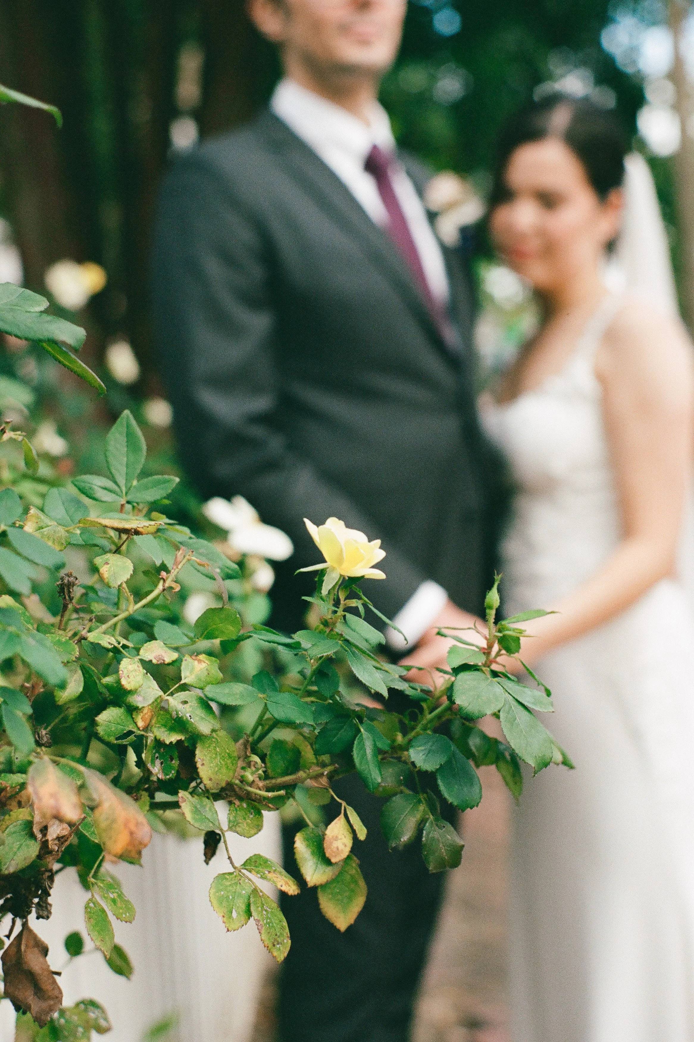 Lorraine and Andrew 10.08.23-JTS-film-54.jpg