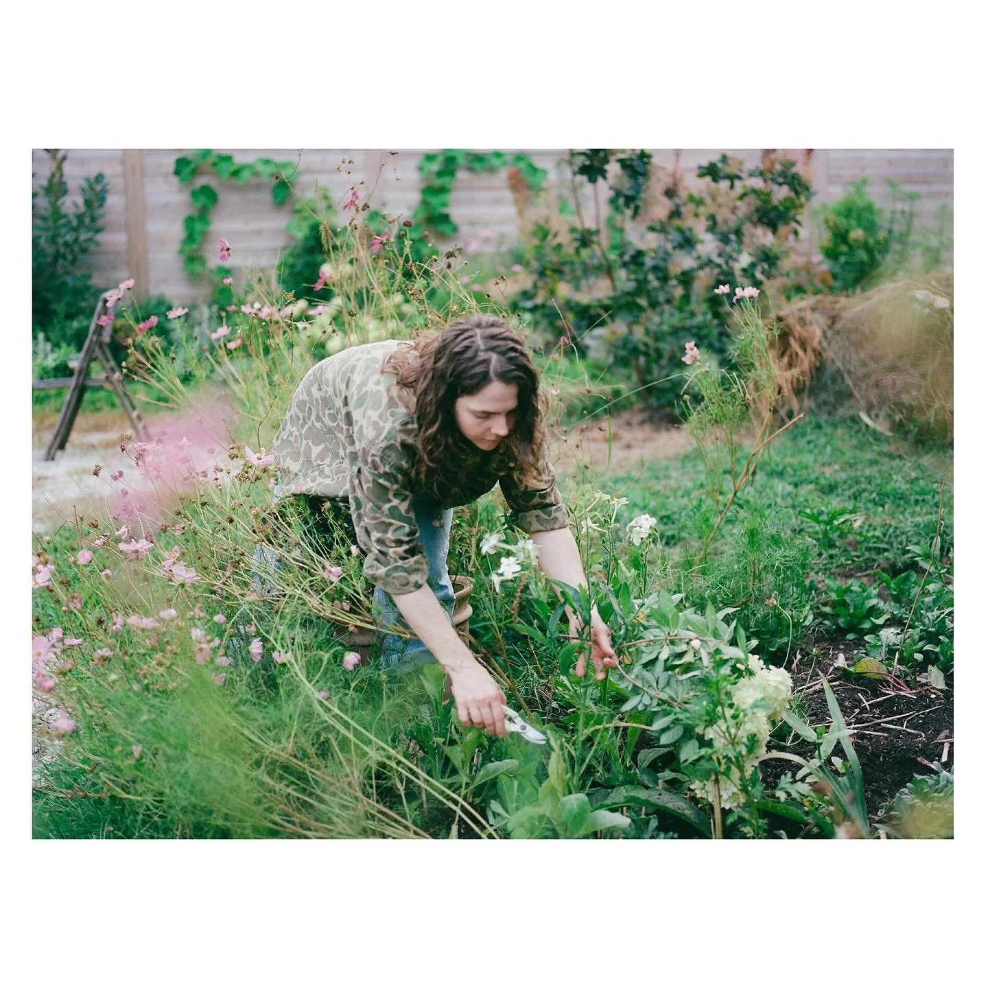 In the garden with Kelsey @oldtimefeeling at Blue Hour on 35mm and 120mm film 🌿🌾🌸