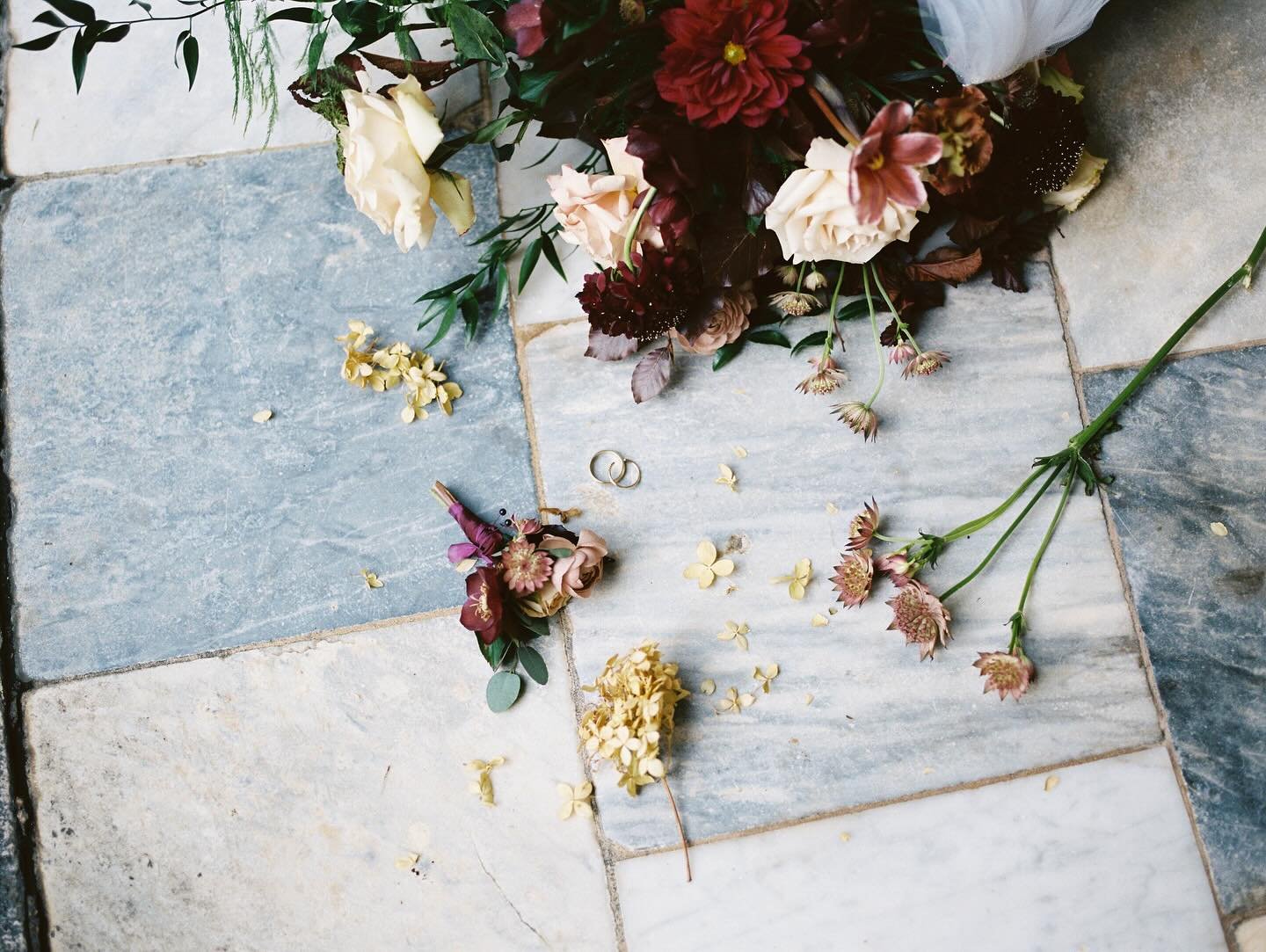 Some of Cassidy&rsquo;s details on film straight out of camera. The fall color palettes this year have been so rich and beautiful 🥀