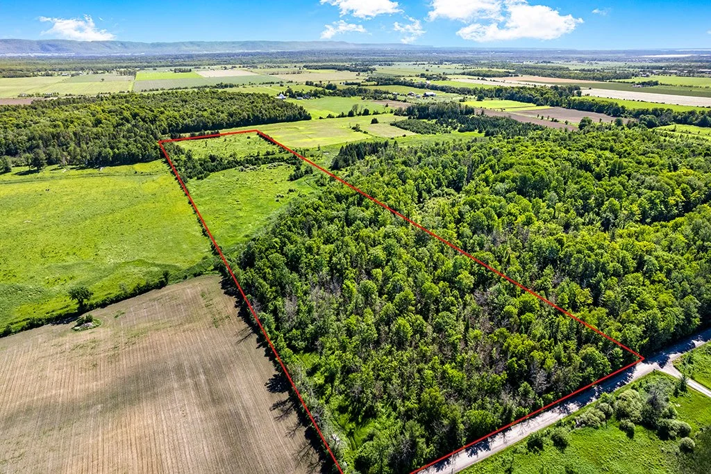 3596 Torbolton Ridge