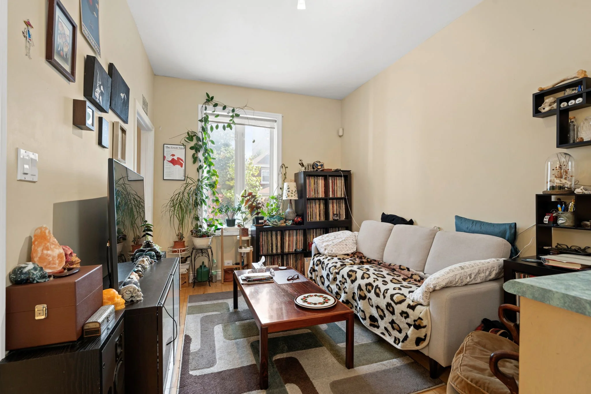 8-web-or-mls-116-cambridge-st-n-a-and-b.jpg