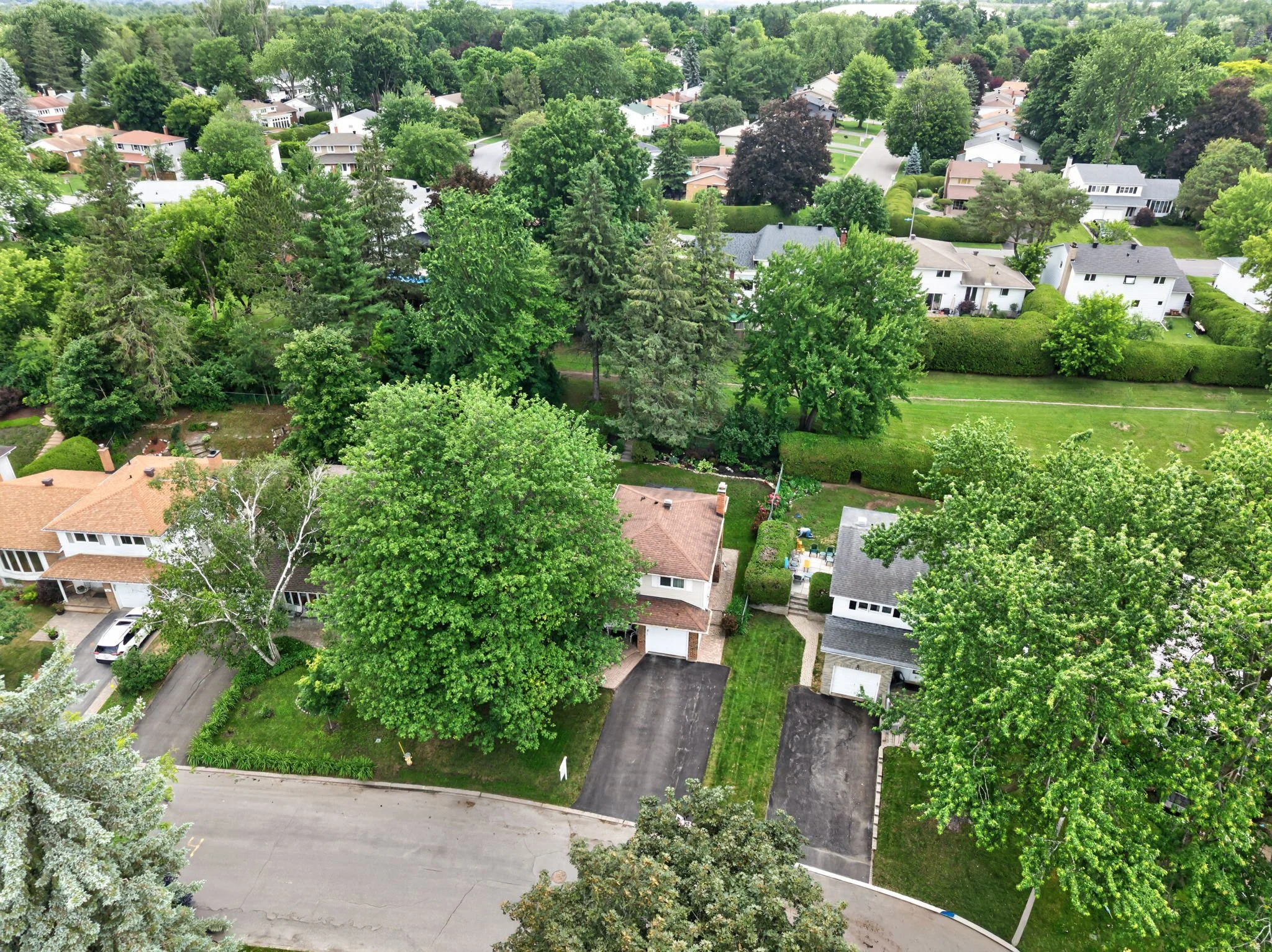 47-web-or-mls-19-woodhill-crescent.jpg