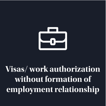 Vistos 1-09-Visa-with-employment.png