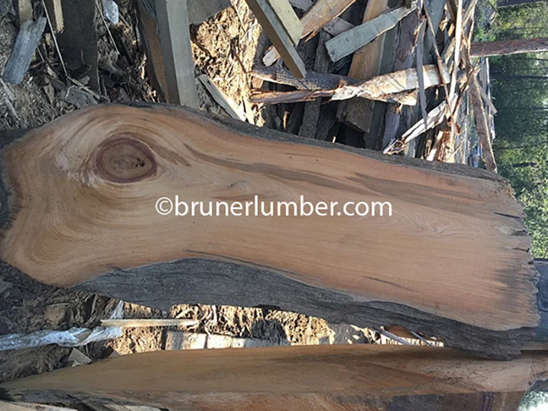 Sinker Cypress Slab 110.jpg