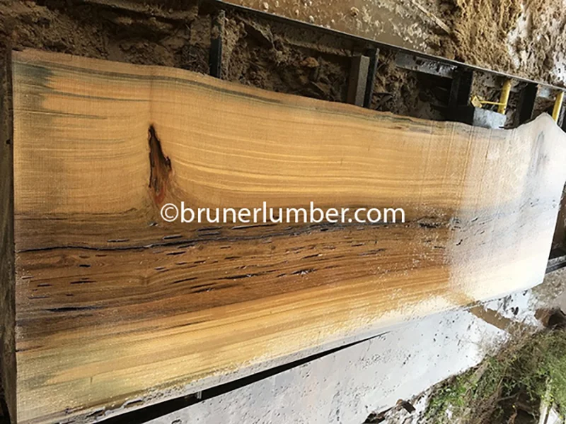 Sinker Cypress Slab 118.jpg