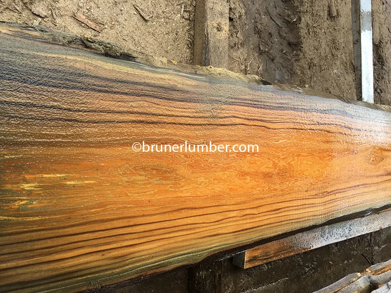 Figured Sinker Cypress 036.jpg