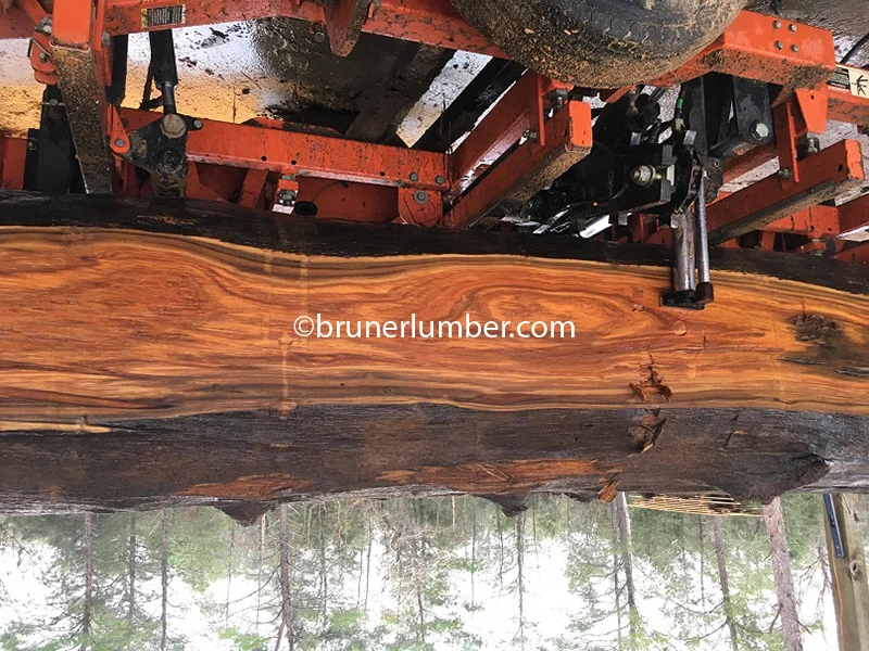 Figured Sinker Cypress 042.jpg