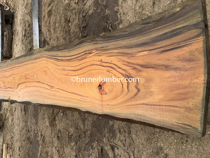 Sinker Cypress 027.jpg